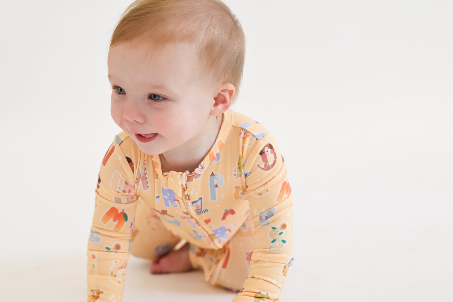 Alphabet Adventures Zippie
